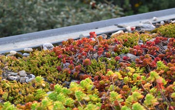 the cost of Puncheston green roof installation