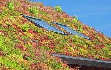 Puncheston living roof systems