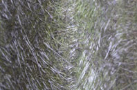 Puncheston fibreglass roof work